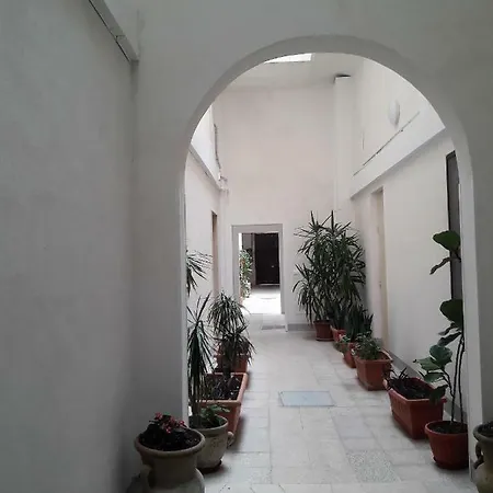 Renda * Trapani